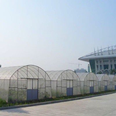 西青西瓜大棚