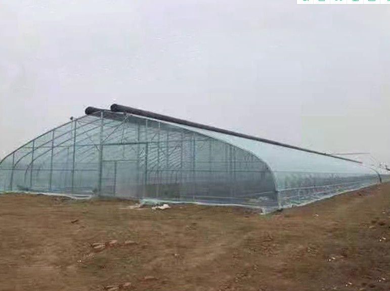 唐山橢圓管大棚