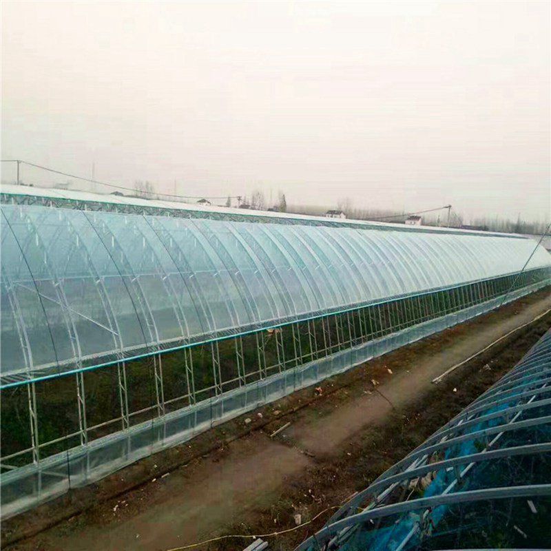 西青蔬菜大棚
